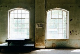 Milch & Moos · Vom Wandern und vom guten Essen · Brandenburg, Berlin