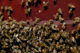 Milch & Moos · Vom Wandern und vom guten Essen · Brandenburg, Berlin