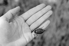 Milch & Moos · Vom Wandern und vom guten Essen · Brandenburg, Berlin