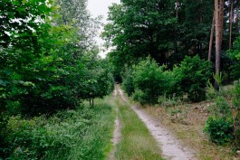 Milch & Moos · Vom Wandern und vom guten Essen · Brandenburg, Berlin