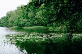 Milch & Moos · Vom Wandern und vom guten Essen · Brandenburg, Berlin