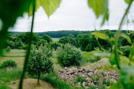 Milch & Moos · Vom Wandern und vom guten Essen · Brandenburg, Berlin