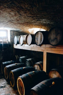 Milch & Moos · Vom Wandern und vom guten Essen · Brandenburg, Berlin