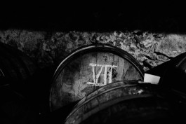 Milch & Moos · Vom Wandern und vom guten Essen · Brandenburg, Berlin