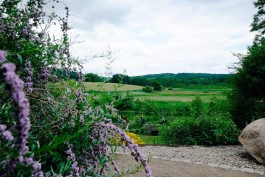 Milch & Moos · Vom Wandern und vom guten Essen · Brandenburg, Berlin