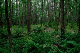 Milch & Moos · Vom Wandern und vom guten Essen · Brandenburg, Berlin