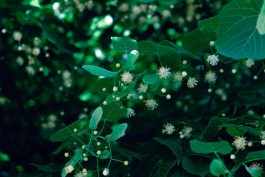 Milch & Moos · Vom Wandern und vom guten Essen · Brandenburg, Berlin