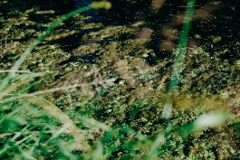 Milch & Moos · Vom Wandern und vom guten Essen · Brandenburg, Berlin