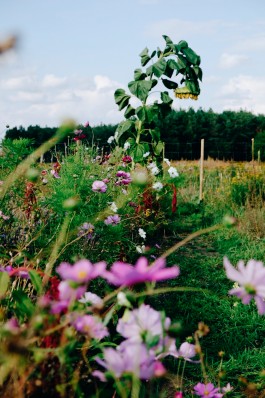 Milch & Moos · Vom Wandern und vom guten Essen · Brandenburg, Berlin