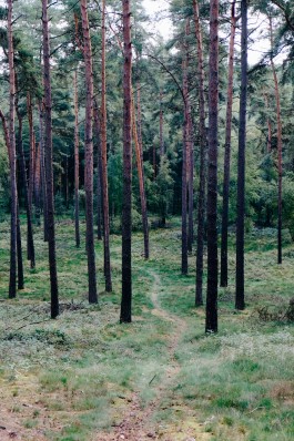 Milch & Moos · Vom Wandern und vom guten Essen · Brandenburg, Berlin