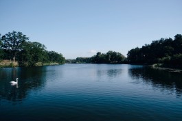 Milch & Moos · Vom Wandern und vom guten Essen · Brandenburg, Berlin