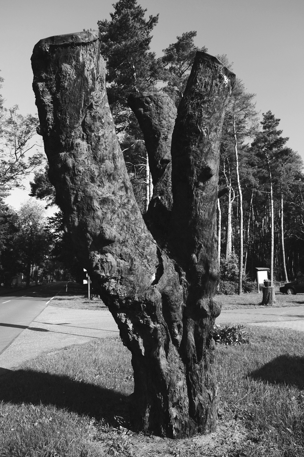Ip Garten