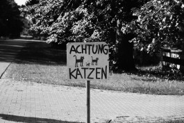 Milch & Moos · Vom Wandern und vom guten Essen · Brandenburg, Berlin