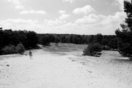Milch & Moos · Vom Wandern und vom guten Essen · Brandenburg, Berlin