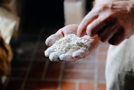 Milch & Moos · Vom Wandern und vom guten Essen · Brandenburg, Berlin