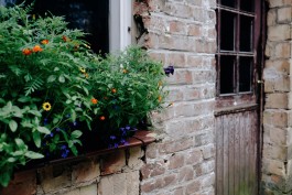 Milch & Moos · Vom Wandern und vom guten Essen · Brandenburg, Berlin