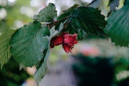 Milch & Moos · Vom Wandern und vom guten Essen · Brandenburg, Berlin