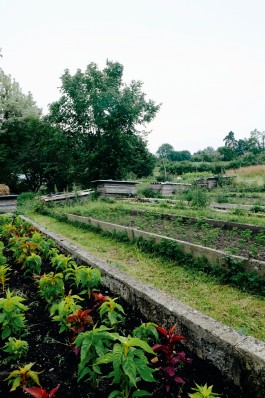 Milch & Moos · Vom Wandern und vom guten Essen · Brandenburg, Berlin