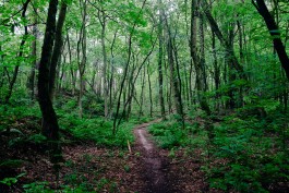 Milch & Moos · Vom Wandern und vom guten Essen · Brandenburg, Berlin