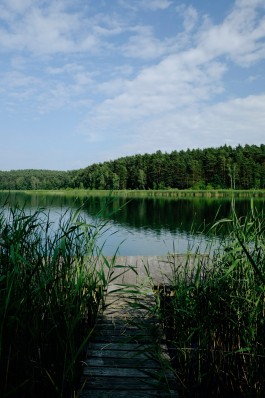 Milch & Moos · Vom Wandern und vom guten Essen · Brandenburg, Berlin