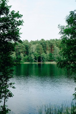 Milch & Moos · Vom Wandern und vom guten Essen · Brandenburg, Berlin