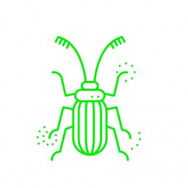 Milch & Moos · Vom Wandern und vom guten Essen · Brandenburg, Berlin